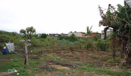 Terreno à venda, 6000 m² por R$ 12.800.000,00 - Jardim Presidente Dutra - Guarulhos/SP