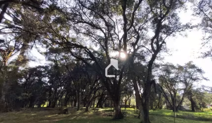 Terreno na Vila Militar