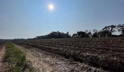 Terra de planta próximo a rodovia