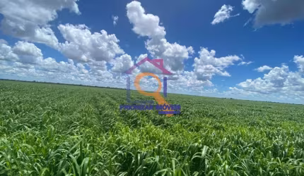 FAZENDA DUPLA APTIDÃO  COM 4.560 FORMADA EM MAMBAI - MG