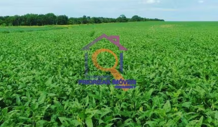 FAZENDA DE DUPLA APTIDÃO COM 1.481 HA (306) ALQUEIRES EM PORANGATU  GO.