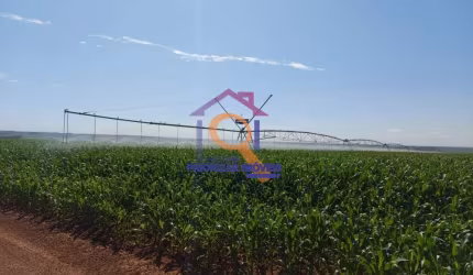 FAZENDA DUPLA APTIDÃO COM 2.220 HA FORMADA  EM IPAMERI- GO