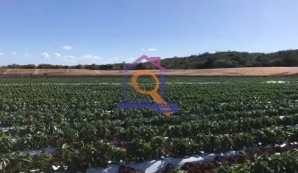 FAZENDA DE DUPLA APTIDÃO COM 988 HA FORMADA EM IBIMIRIM - PE