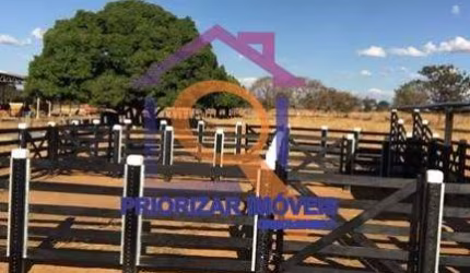 EXCELENTE FAZENDA COM 1041 HA DE TERRAS DE CULTURA PLANA E F