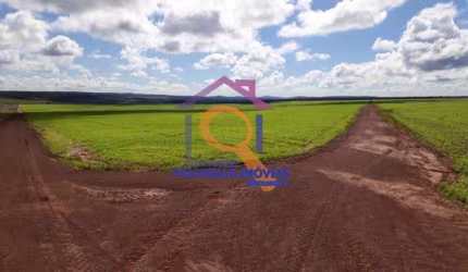 Fazenda com 7.982,12 ha com dupla aptidão formada em Paranatinga-MT