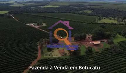 FAZENDA DE LARANJA COM 623 HA EM BOTUCATU -SP