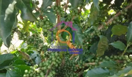 FAZENDA DE CAFÉ E PECUÁRIA COM 374 HA EM VARGINHA-MG