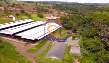 FAZENDA LEITEIRA COM 112 HA FORMADA NO TRIANGULO MINEIRO-MG