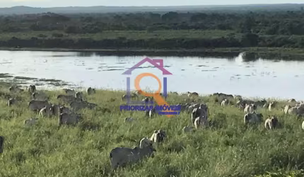 FAZENDA DUPLA APTIDÃO 1.998 HA EM PEDRA DE MARIA DA CRUZ-MG