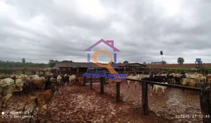 FAZENDA COM 83.500 HA EM SÃO FÉLIX DO ARAGUAIA- MT
