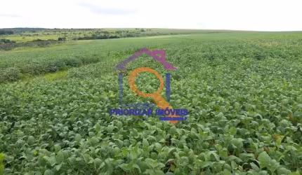 FAZENDA DUPLA APTIDÃO DE 958 HA IRRIGÁVEL E TODA FORMADA EM