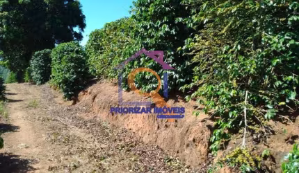 FAZENDA DE CAFÉ TODA FORMADA E PRODUTIVA COM 170 ALQUEIRES  EM GUAXUPÉ - MG