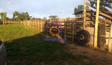 FAZENDA DUPLA APTIDÃO COM 138,45 HA FORMADA EM JANUÁRIA - MG