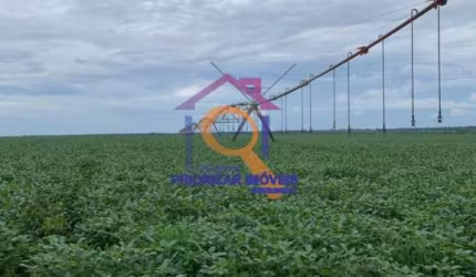 FAZENDA 470 HA DUPLA APTIDÃO IRRIGADA EM BRASILÂNDIA - MG