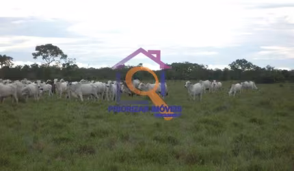FAZENDA COM 2.620 HECTARES  EM BRASILÃNDIA DE MINAS-MG