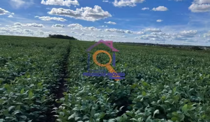 FAZENDA DUPLA APTIDÃO COM 504 HA EM BONFINÓPOLIS -MG