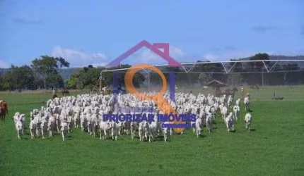 FAZENDA DUPLA APTIDÃO COM 2032 HA IRRIGADA EM PIRAPORA-MG
