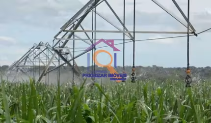 FAZENDA DUPLA APTIDÃO IRRIGADA COM 393 HA EM BRASILÂNDIA-MG