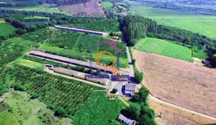 FAZENDINHA DE 15,8 HA COM GRANJA NA REGIÃO DE SOROCABA -SP