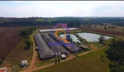 FAZENDA COM 19,36 COM GRANJA MODERNA A VENDA EM TATUÍ-SP