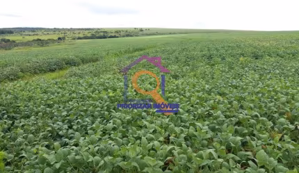 FAZENDA DUPLA APTIDÃO COM 582 HA EM ÁGUA FRIA DE GOIAS-GO