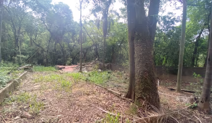 Lote de 2.600 metros Chacaras Flórida