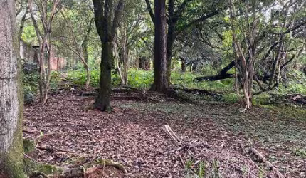 Lote/Terreno para venda possui 2334 metros quadrados em Garças - Belo Horizonte - MG