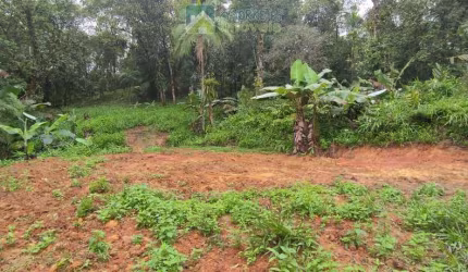 Terreno à venda no bairro São João da Graciosa - Morretes/PR, Rural