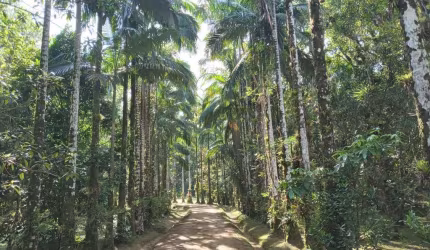Chácara  com 306.287 m² apenas 3Km do Centro Histórico de Morretes