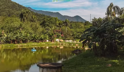 Chácara à venda no bairro Rio Sagrado - Morretes/PR, Urbana