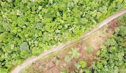 Chácara à venda em Morretes/PR
