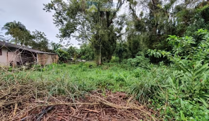 Terreno à venda no bairro Rocio - Morretes/PR, Urbana