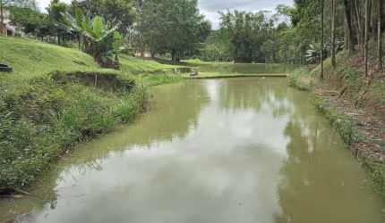 Chácara à venda no bairro Sapitanduva - Morretes/PR