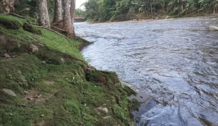 Chácara à venda no bairro Porto de Cima - Morretes/PR