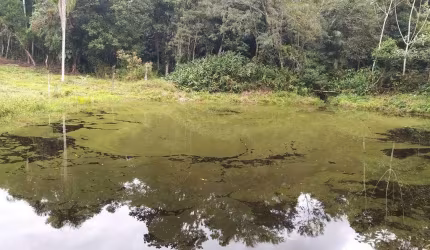 Chacara-para-Venda-em-Itaperucu-Morretes-PR