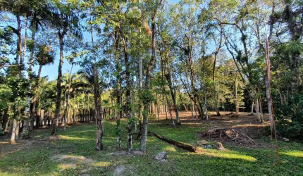 Terreno à venda no bairro América de Cima - Morretes/PR, Rural