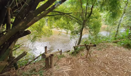 Terreno à venda no bairro Núcleo Rio do Pinto - Morretes/PR, Urbana
