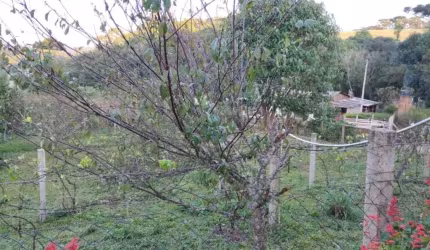 Terreno / Lote
