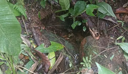 Terreno / Chacara / Refugio