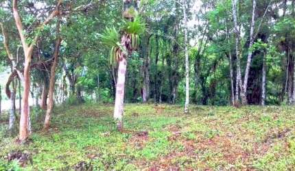 Terreno no Bairro Sarapia, Morretes/PR de frente para o asfalto.