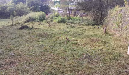 Terreno / Lote em Vila das Palmeiras, Morretes/PR
