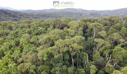 Terreno Lote para construir com 10.000 metros dentro da Mata Atlântica local alto