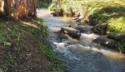 Terreno multifuncional: Seu Lar e Seu Negócio em um Só Lugar!