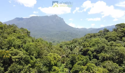 Terreno com 6,35 alqueires (15,38 hec.)  Documentação, Matricula e Registro Morretes-PR