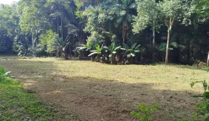 Área à venda no bairro Santa Fé - Morretes/PR, Rural