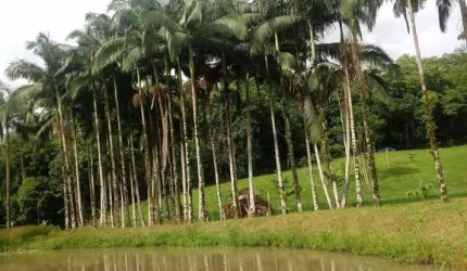 Chácara (pequeno sítio) com 22.344m² na  Sesmaria em Morretes/PR -DOCUMENTADA