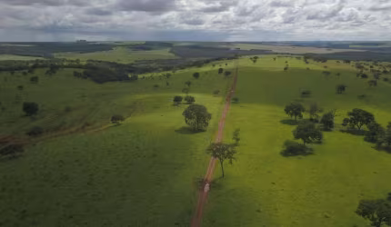 Fazenda de Dupla Aptidão em Serranópolis/GO - 2350 hectares!
