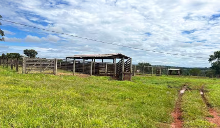 Ótima fazenda para agricultura e pecuária no Prata-MG