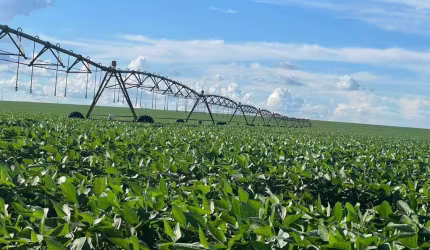 Excelente fazenda de dupla aptidão em Uberlândia