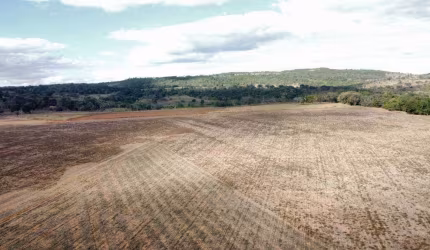 Excelente fazenda na região de Piracanjuba-GO